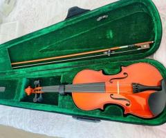 Vendo Viola Cremona