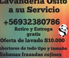 Lavandería osito