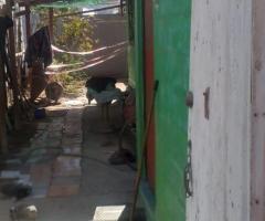 Vendo casa simple en sector paipote