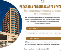GratisPRACTICA PROFESIONAL AREA VENTAS- HOTEL ATACAMA SUITES