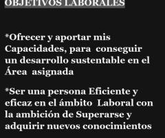 Realizacion de curriculum vitae y servicios sociales