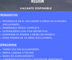 AYUDANTES -   DIEGO DE ALMAGRO