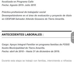 REALIZACION Y ACTUALIZACION DE CURRICULUM VITAE Y AYUDANTIAS ESCOLARES