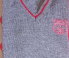 Vendo ropa del L. Robles Silva