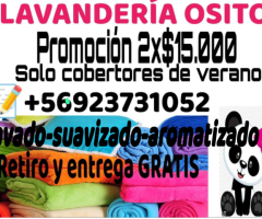 Lavandería osito copiapo