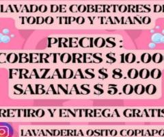 Lavandería osito copiapo