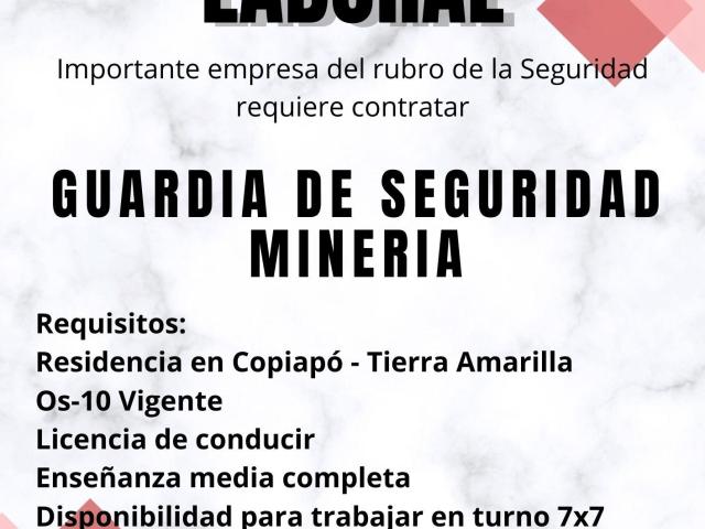 GUARDIA DE SEGURIDAD MINERIA - 1