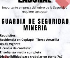 GUARDIA DE SEGURIDAD MINERIA - 1