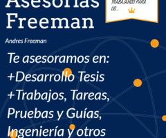 Asesorías a Estudiantes Universitarios Online y Presencial