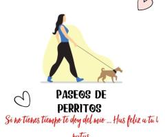 Paseos de animales