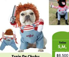 Disfraz para tu regalon