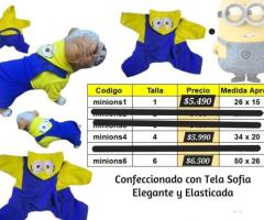 Disfraz para tu regalon